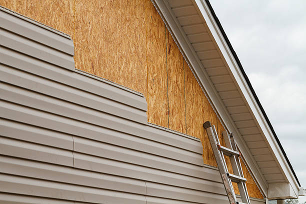 Professional Siding Repair technician working in Mount Vernon, TX